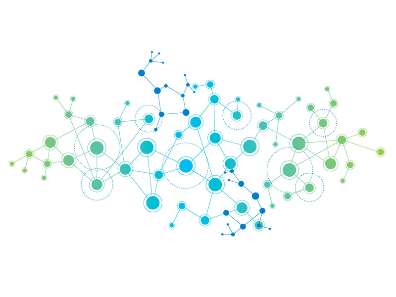 Network